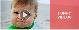 Funny Videos